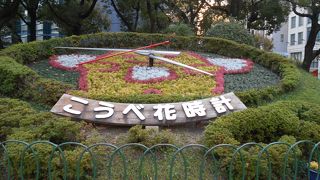 今はコアラのもようです