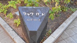 散歩にぴったり