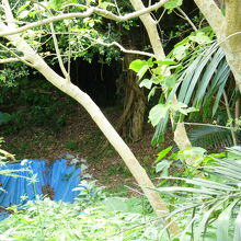 洞窟内部には入れません