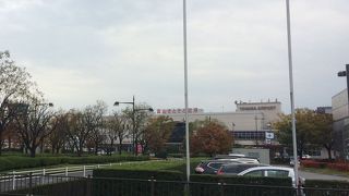 ます寿しの取扱いが豊富