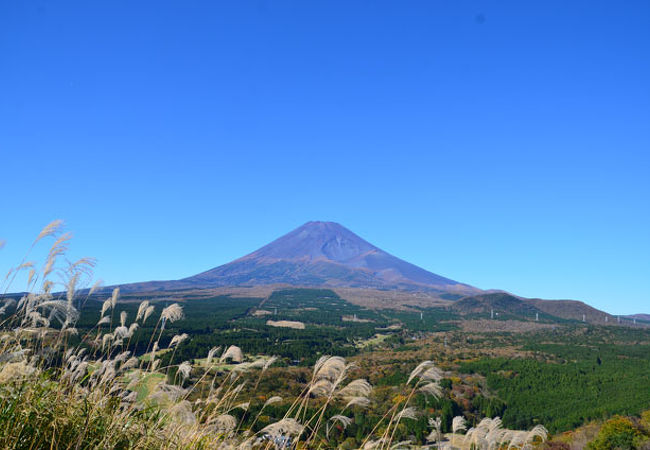 十里木高原から見えた富士山