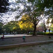 三本松公園 