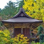 　篠山にある　紅葉　苔が　綺麗な　お寺です。