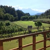 客室からの景色です