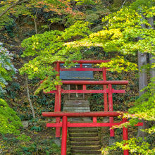 朱塗りの　鳥居と　紅葉　美しいです。