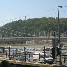 丘の全景です。