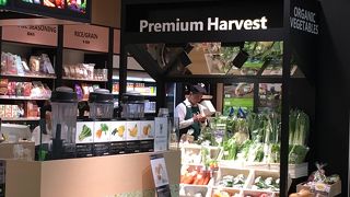 第１ターミナル地下１階、月の塔の近く