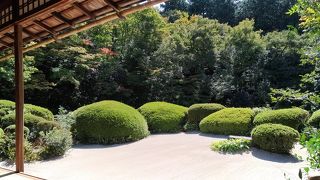 土曜日でも静かなお庭