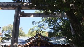 内宮参拝後に歩いて・・猿田彦神社へ