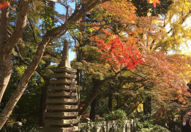 正法寺