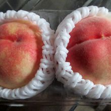 ジョイナス地下1階、東急ストアで買いました。