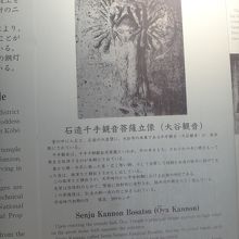 実物が撮影不可なので、横の説明書きを撮るしかない