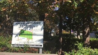 坂の途中にある緑あふれる公園