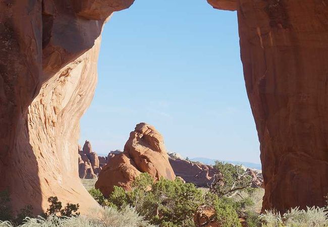 アーチ奥の真ん中に松の木（pine tree）が見えます。