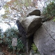 山頂の散策路にあるカエルの形の石