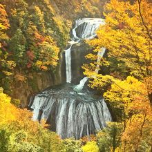 奥久慈の紅葉は錦繍の言葉そのもの／袋田の滝