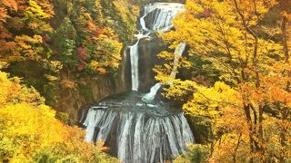 11/19までは、道の駅渋滞に要注意！/　袋田の滝渋滞ではありません