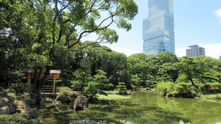 池の周りを歩きながら庭園を１周回れます。池の向うにあべのハルカスが見えます。
