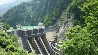 トロッコから見られます。