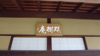 団体さんが占領中