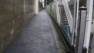 ちょっと寂しくてはかなげな雰囲気