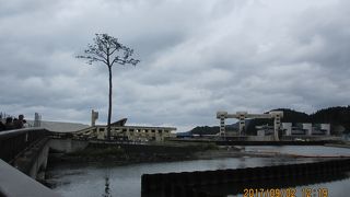 まだまだ復興なかば