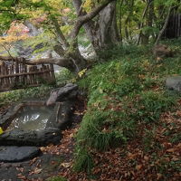 河辺に張り出すもみじの巨木の下にあるもみじの湯