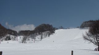 菅平の奥の方です