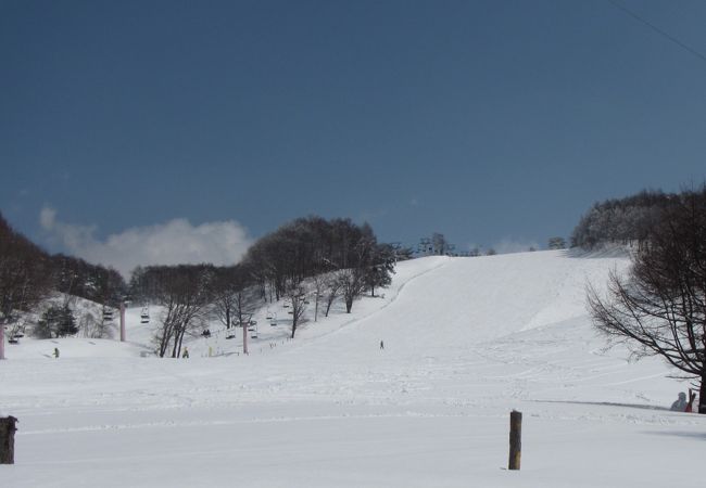 菅平の奥の方です