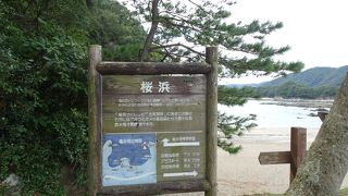 竜串海域公園の中心(^_^)v