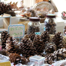 松ぼっくりいろいろ