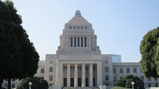 小学生の時に社会科見学で国会議事堂内を見学して以来・何十年ぶりの国会議事堂