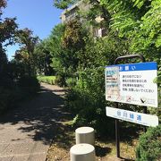 二子玉川の散歩道、谷川緑道