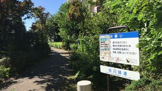 二子玉川の散歩道、谷川緑道