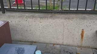 水が冷たくておいしい