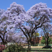 バーガーズパーク