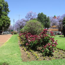 バーガーズパーク