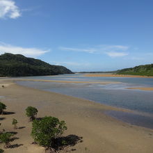 浦内川河口付近