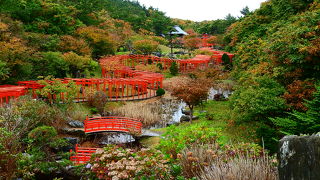 千本鳥居と紅葉のマッチングがとても綺麗でした