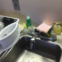 キッチン洗剤とスポンジは使いづらい。持参した物を使用。