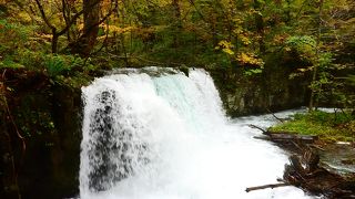 紅葉の時に訪れたせいか，外国人観光客が沢山来ていました．