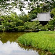 本当に自由なお寺　フィンランド人も気に入った