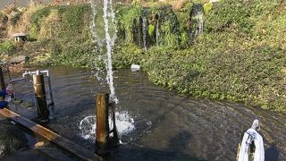 羊蹄の湧き水で作ったおいしい豆腐とヘルシー豆腐スイーツがいっぱい豆腐料理専門店「湧き水の里」