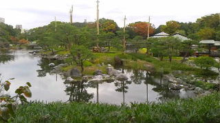 貯木場跡地を公園に整備。