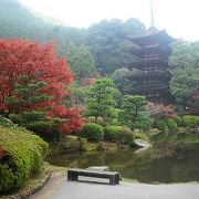紅葉の瑠璃光寺は華やかです。
