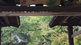 徳川家の始祖、松平家の菩提寺