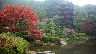 紅葉の瑠璃光寺は華やかです。