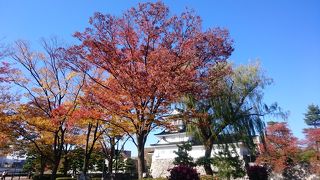 都心の静かな公園