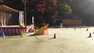 猿回しが見れます