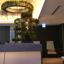 室内に緑も置かれています